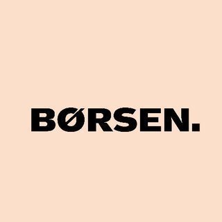 borsen.dk image